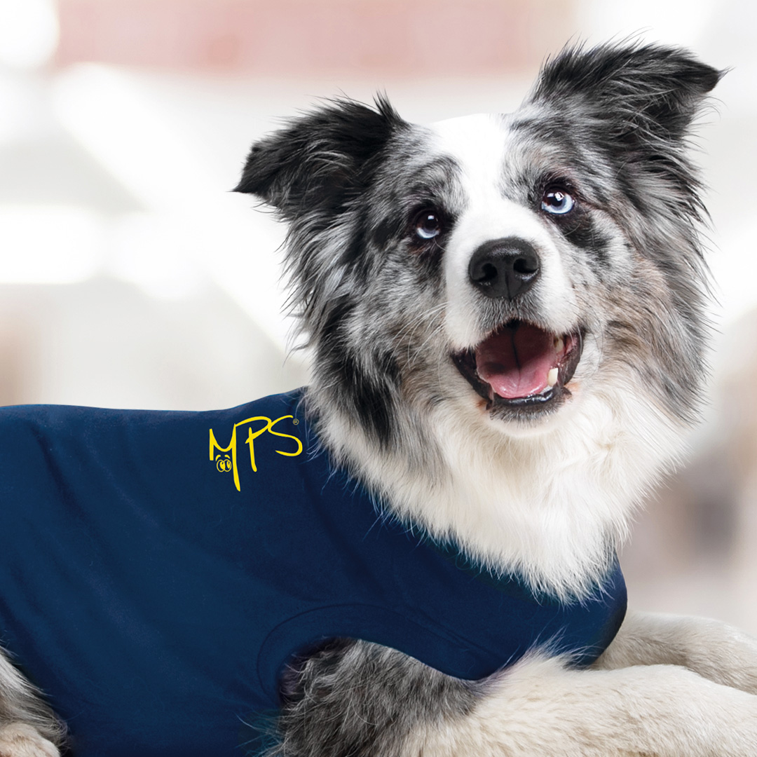 hond-met-shirt