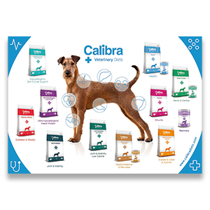Calibra-vd-poster-hond