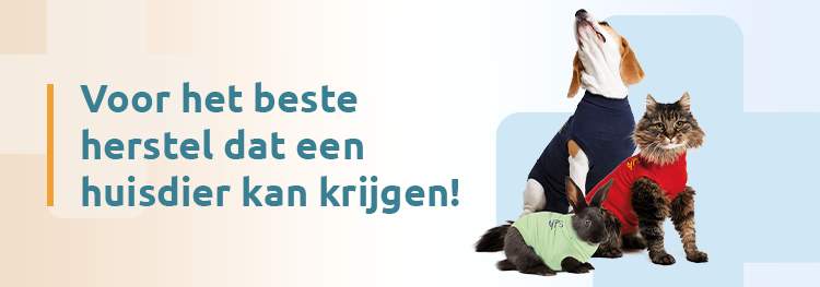 MPS_BANNER-voor-het-beste-herstel