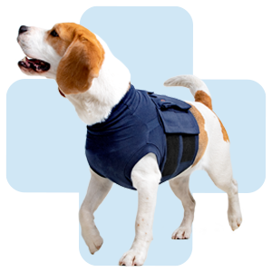 hond-met-protective-top-shirt