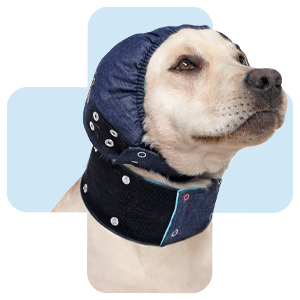 hond-met-head-cover