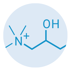 L-carnitine