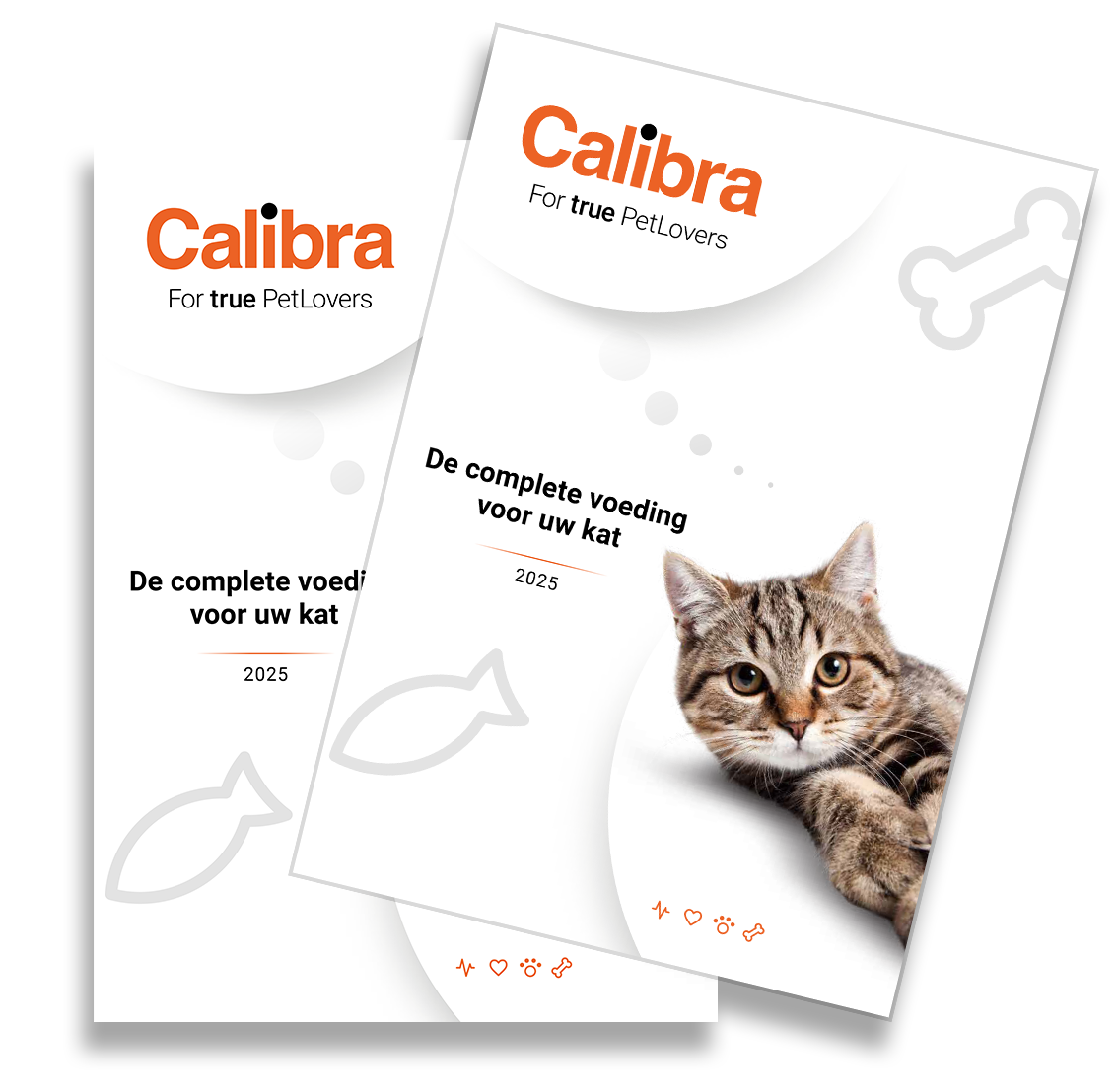Calibra-joy-brochure-kat-joy