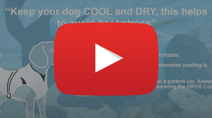 DRY Cooling Vest video