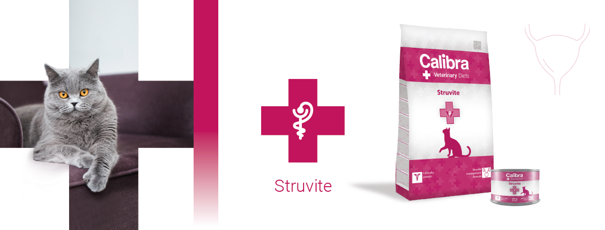 Calibra-Veterinary-Diets-struvite-kat