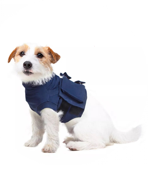hond-met-shirt
