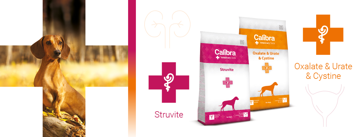 Calibra-Veterinary-Diets-struvite-hond