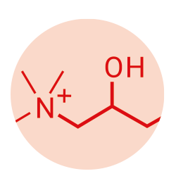 L-carnitine