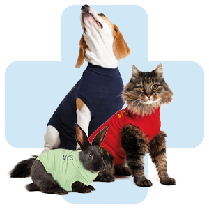 hond-kat-konijn-met-shirt