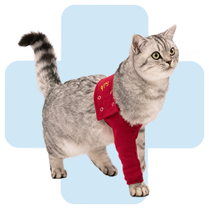 honden-met-front-sleeve