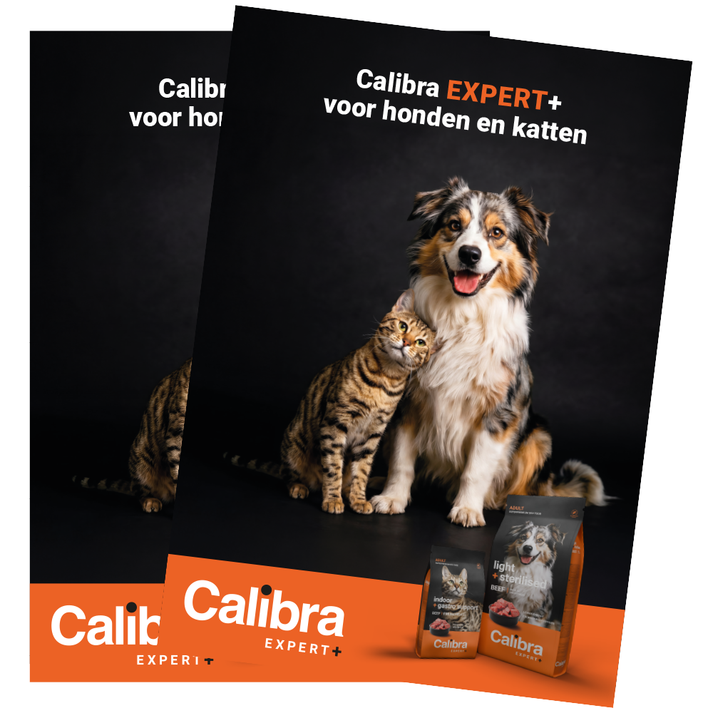 Calibra-Expert+-brochure