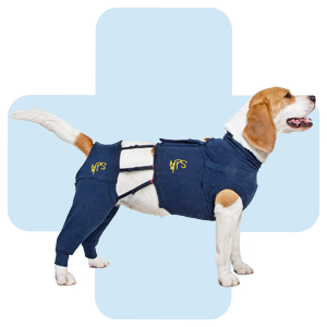 hond-met-Hind-Leg-Double-Sleeves