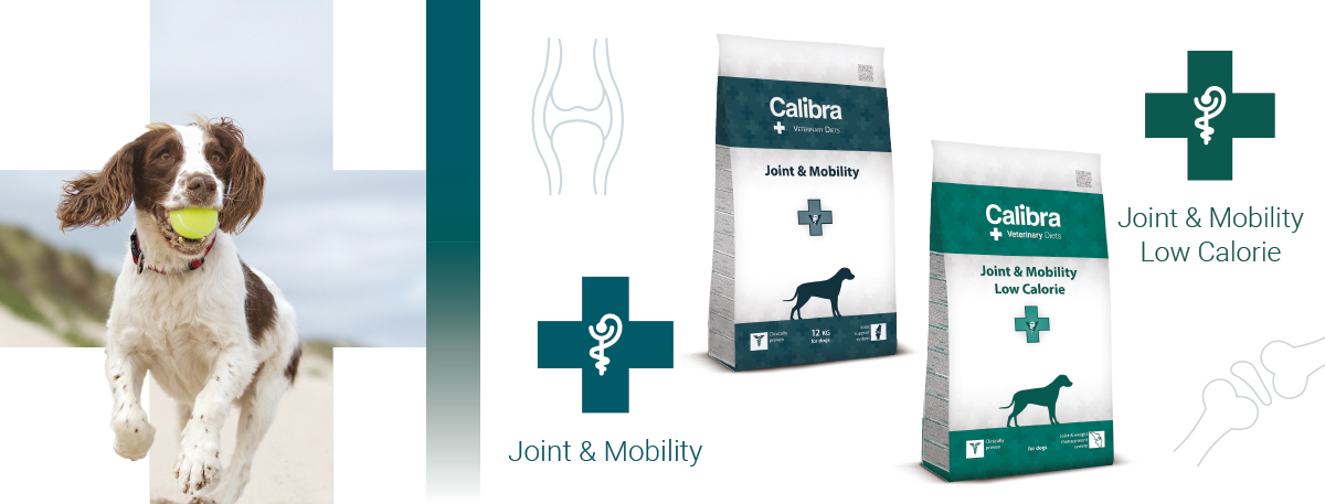 Calibra-Veterinary-Diets-joint-mobility-hond