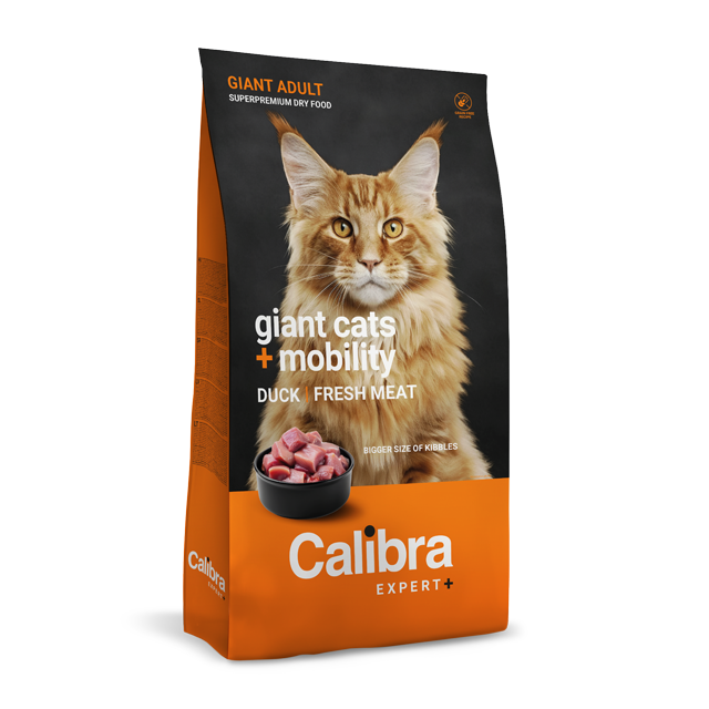 Calibra Expert+ Active & Energy Beef