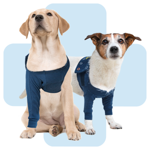 honden-met-front-sleeve