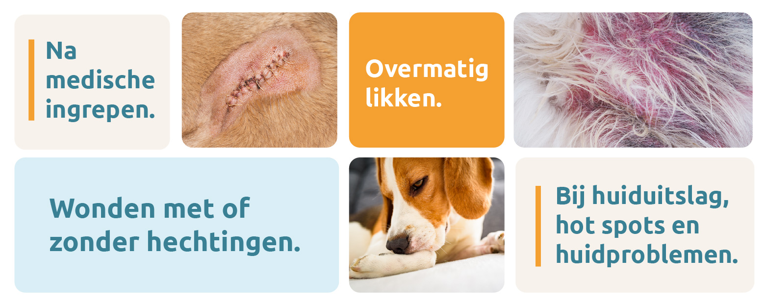 MPS_BANNER-redenen-voor-gebruik