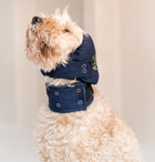 hond-met-head-cover